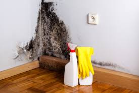 Professional Mold Prevention & Removal  in Lowell, OR